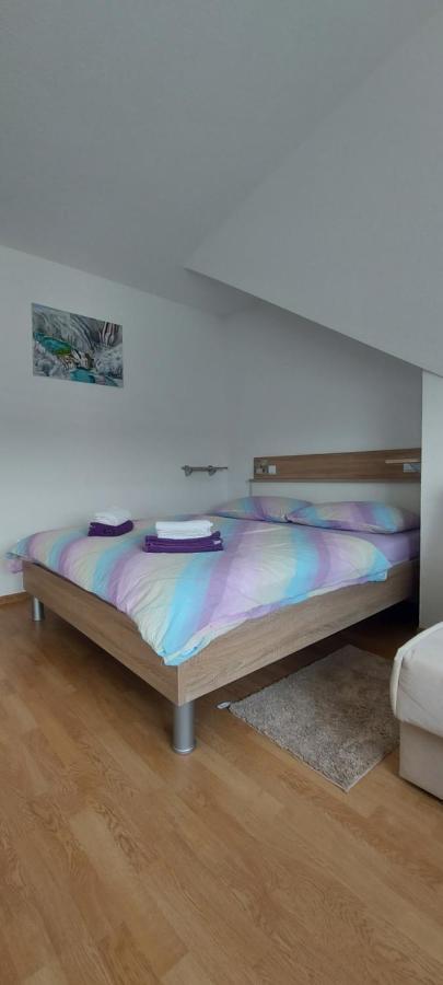 Guesthouse Miha Rakovica Exteriör bild