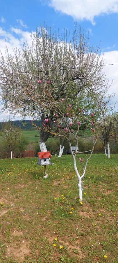 Guesthouse Miha Rakovica Exteriör bild