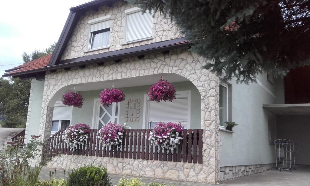 Guesthouse Miha Rakovica Exteriör bild